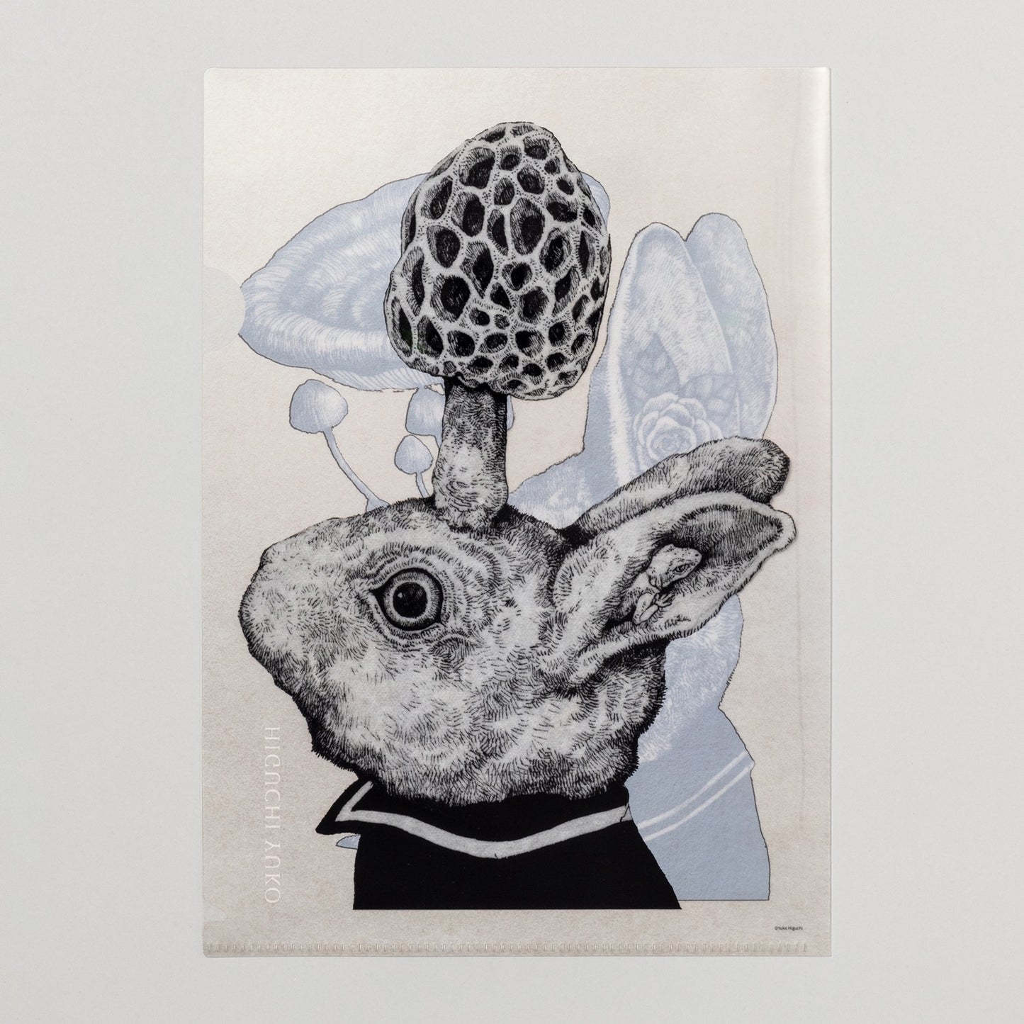 台湾展 クリアファイル(黒)