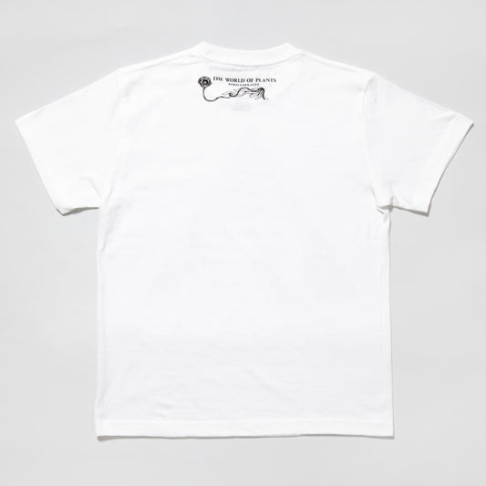 T-shirt Hitotsume no haeru Mori