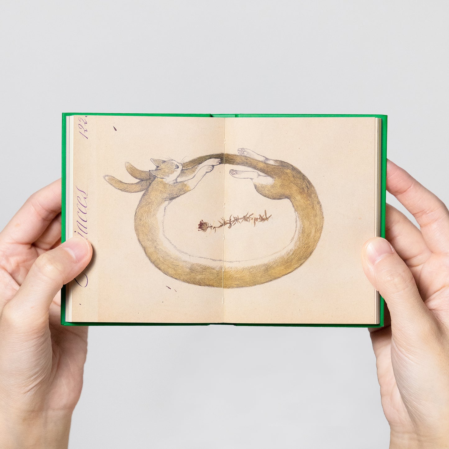 ちいさな画集 small book 4