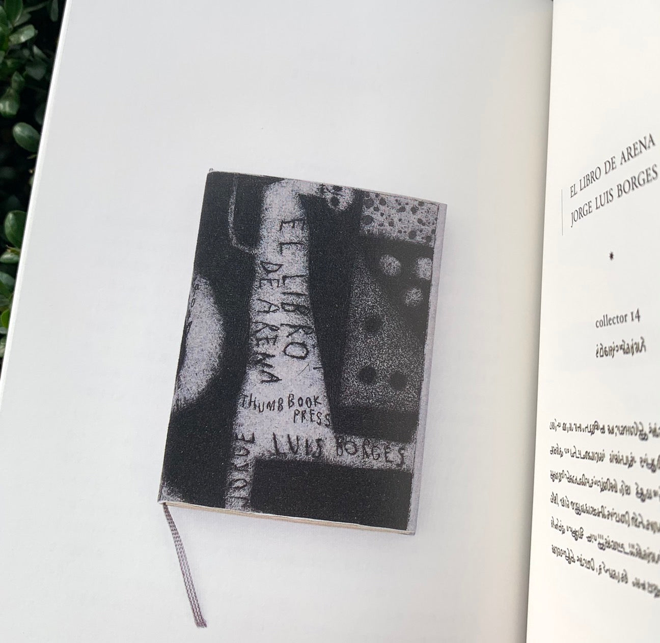 【サイン本】Dear, THUMB BOOK PRESS