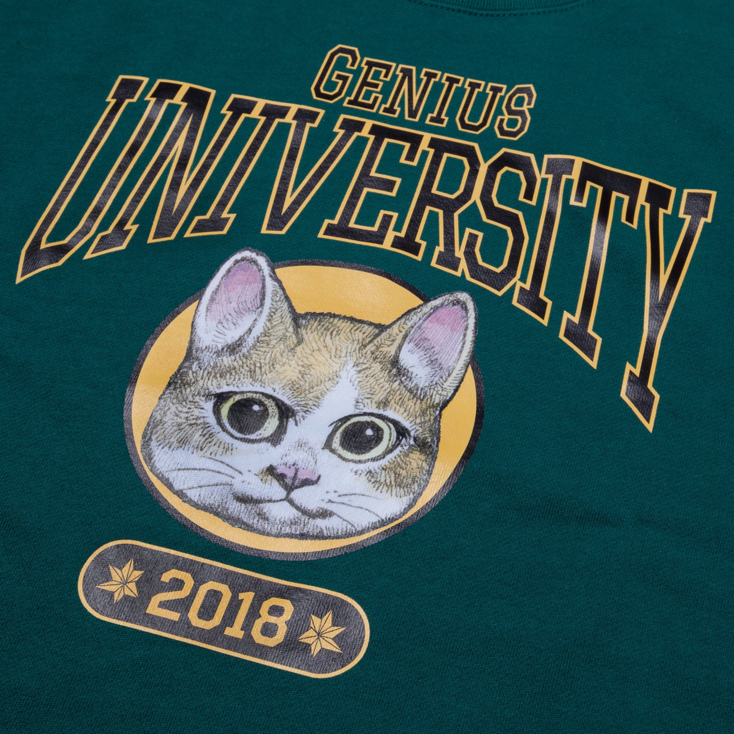 大学指定トレーナー ボリス