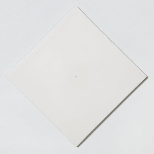 Kutani-yaki Ceramic plate MAPLE
