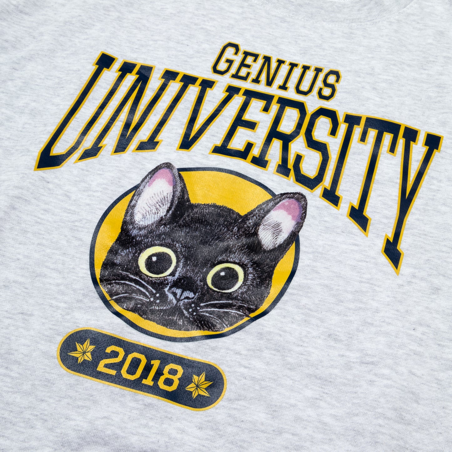 大学指定トレーナー ムスタ