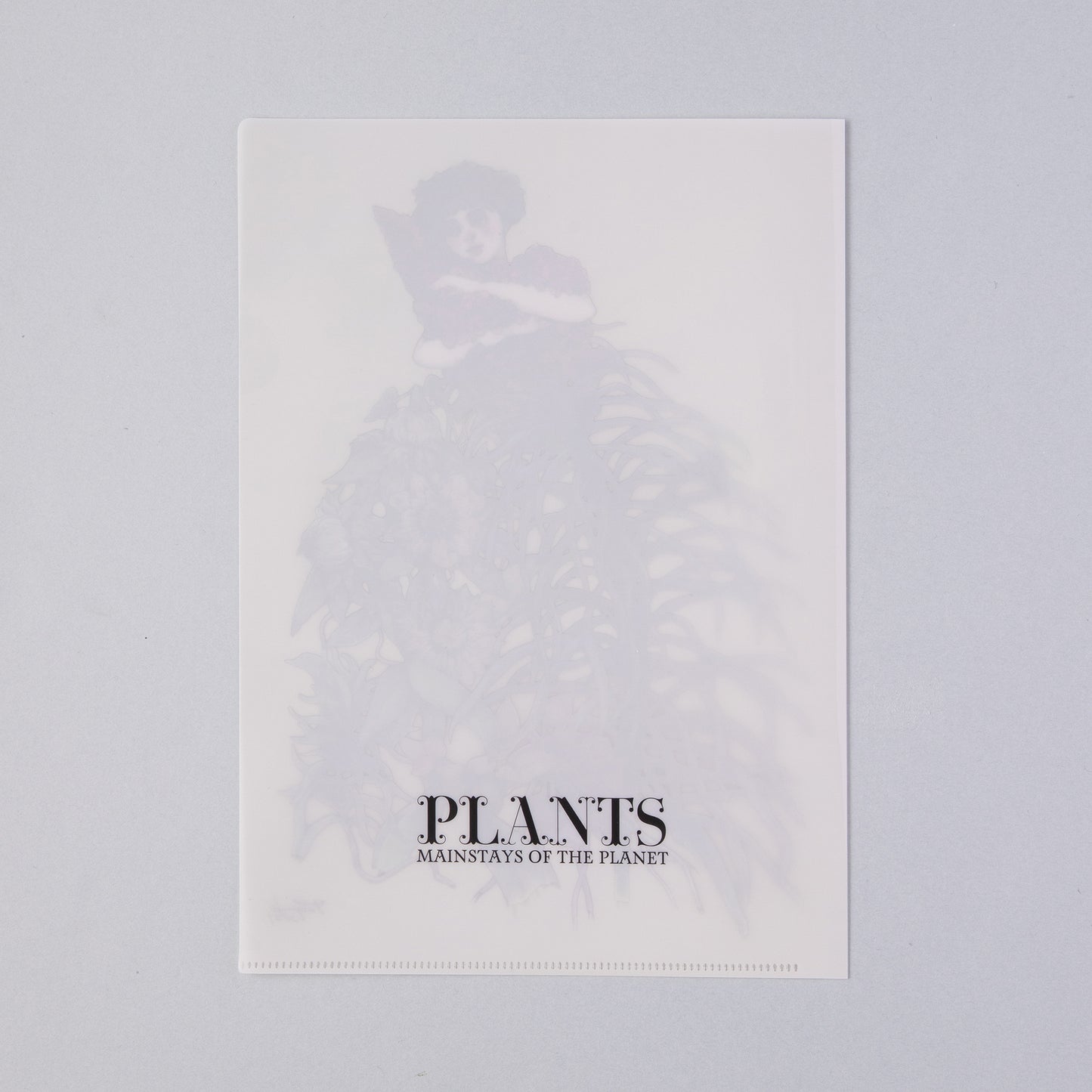 Shokubutsu Exhibition Clear File