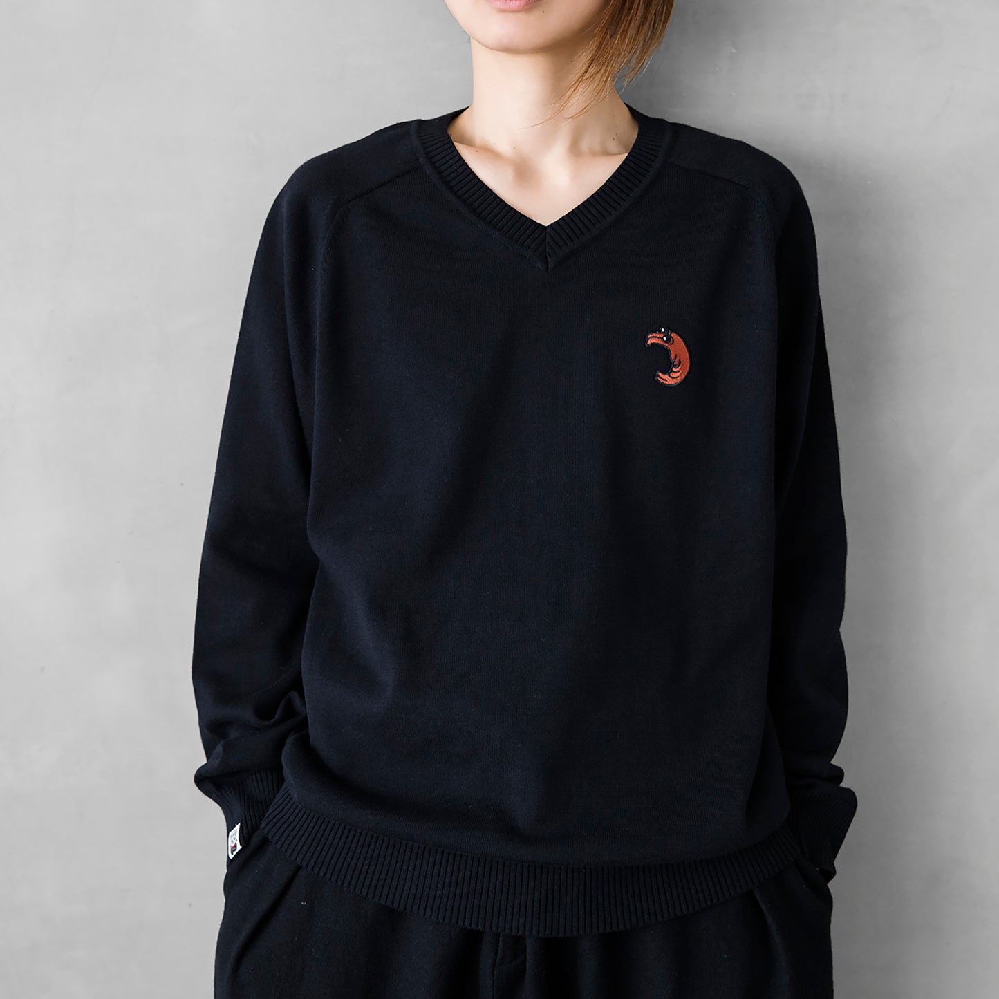 【あわせがい対象商品(ワッペン別売)】Vネックセーター ワッペン:左胸1個