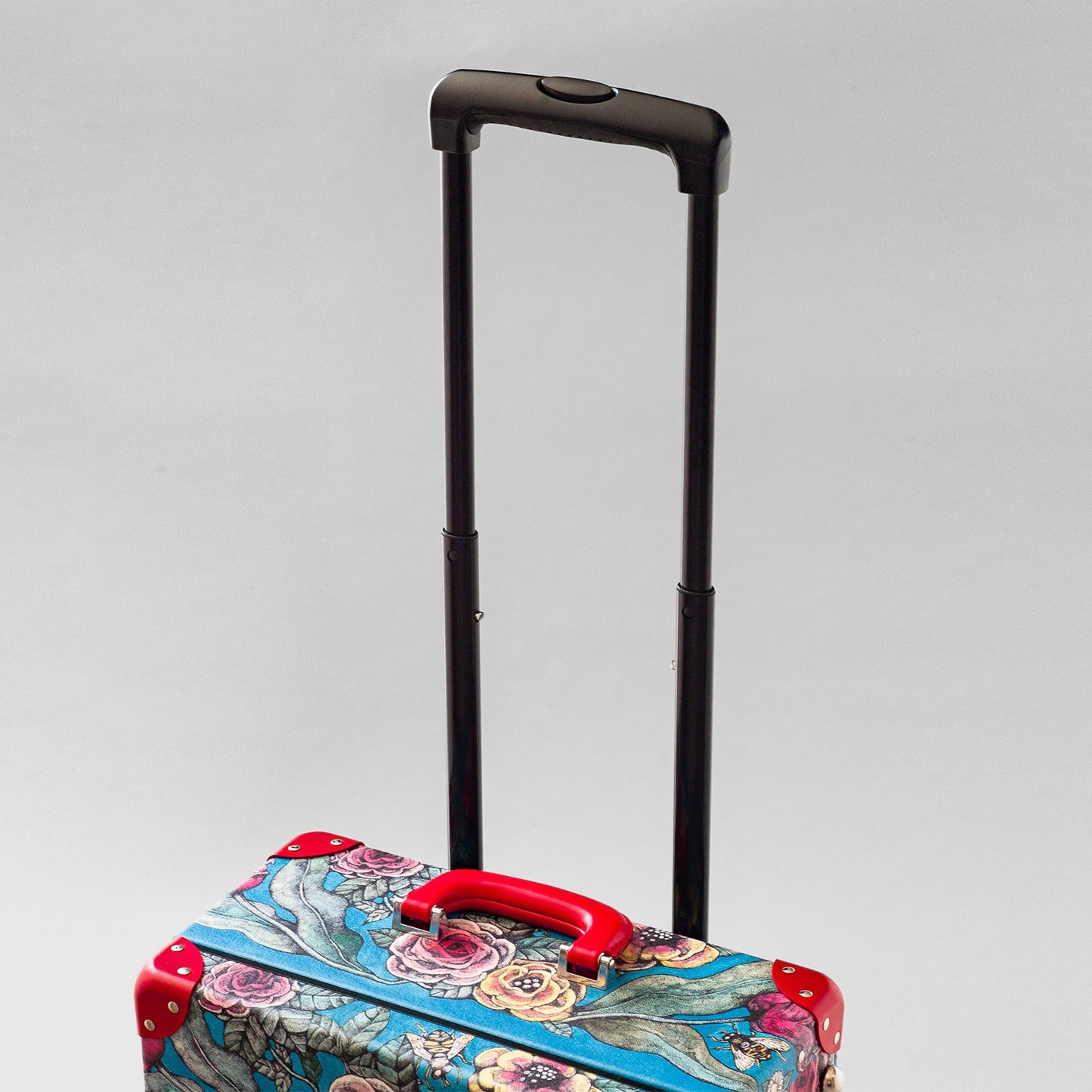 Trolley Ohana to Hachi