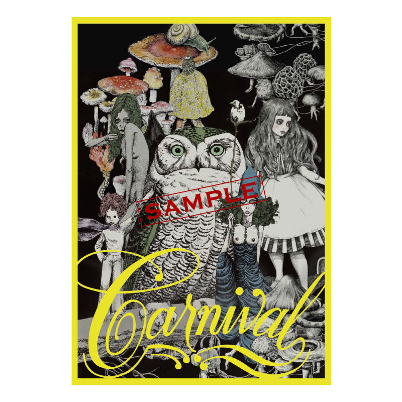 【特典カード・フライヤー付】宇野亞喜良画集 Kaleidoscope