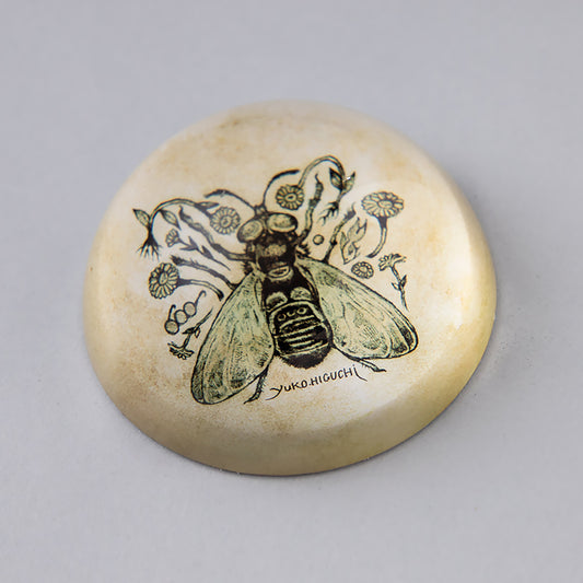 ペーパーウェイト Insect