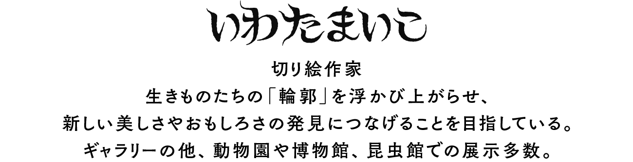 いわたまいこ