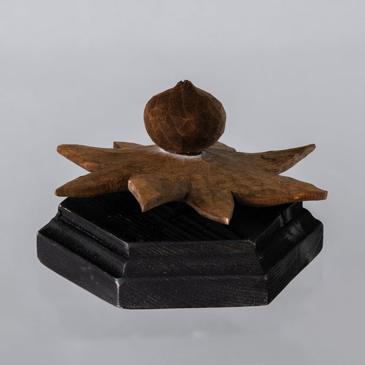 小島秋彦作品55 ツチグリ 茶・A