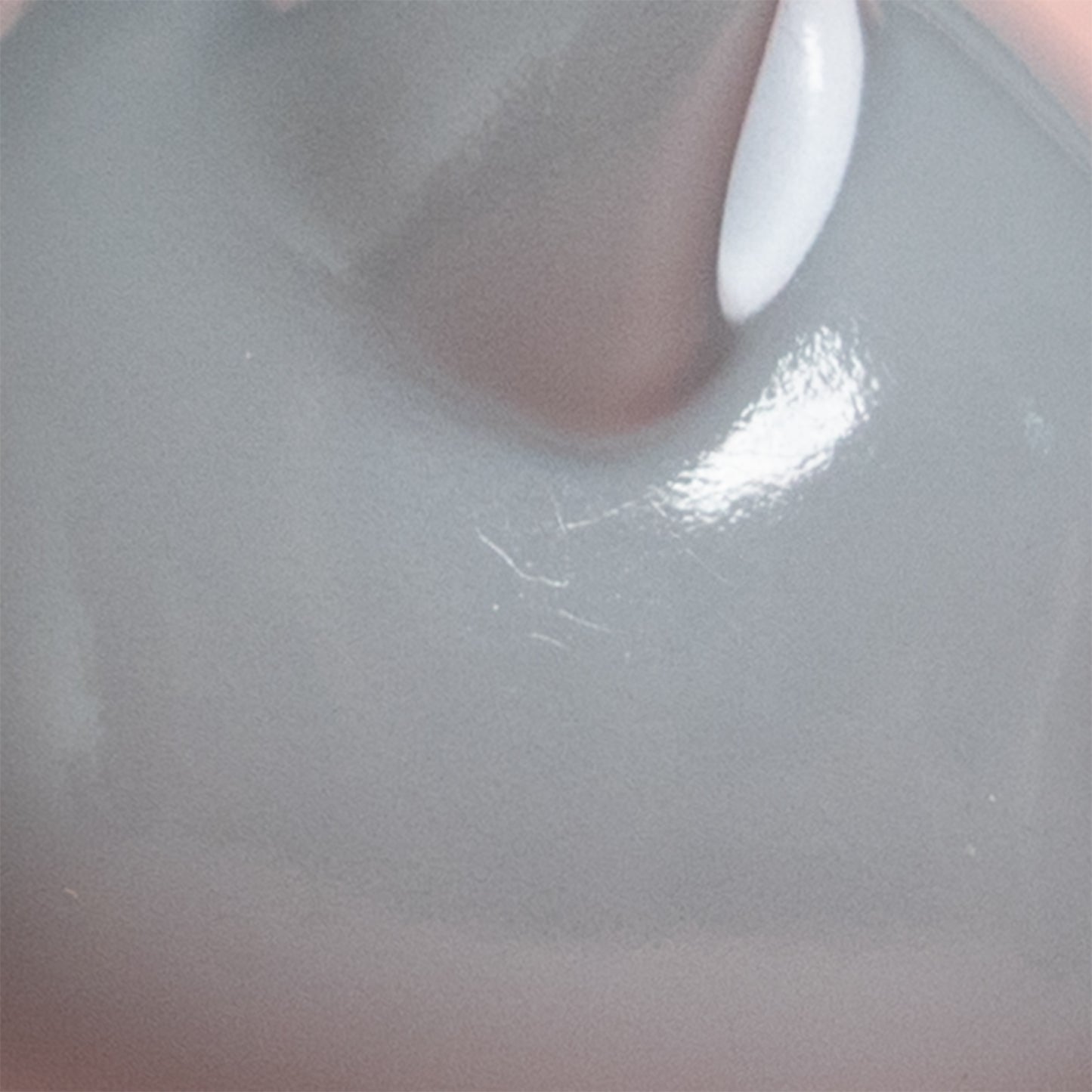 ニャンコとアノマロのお人形