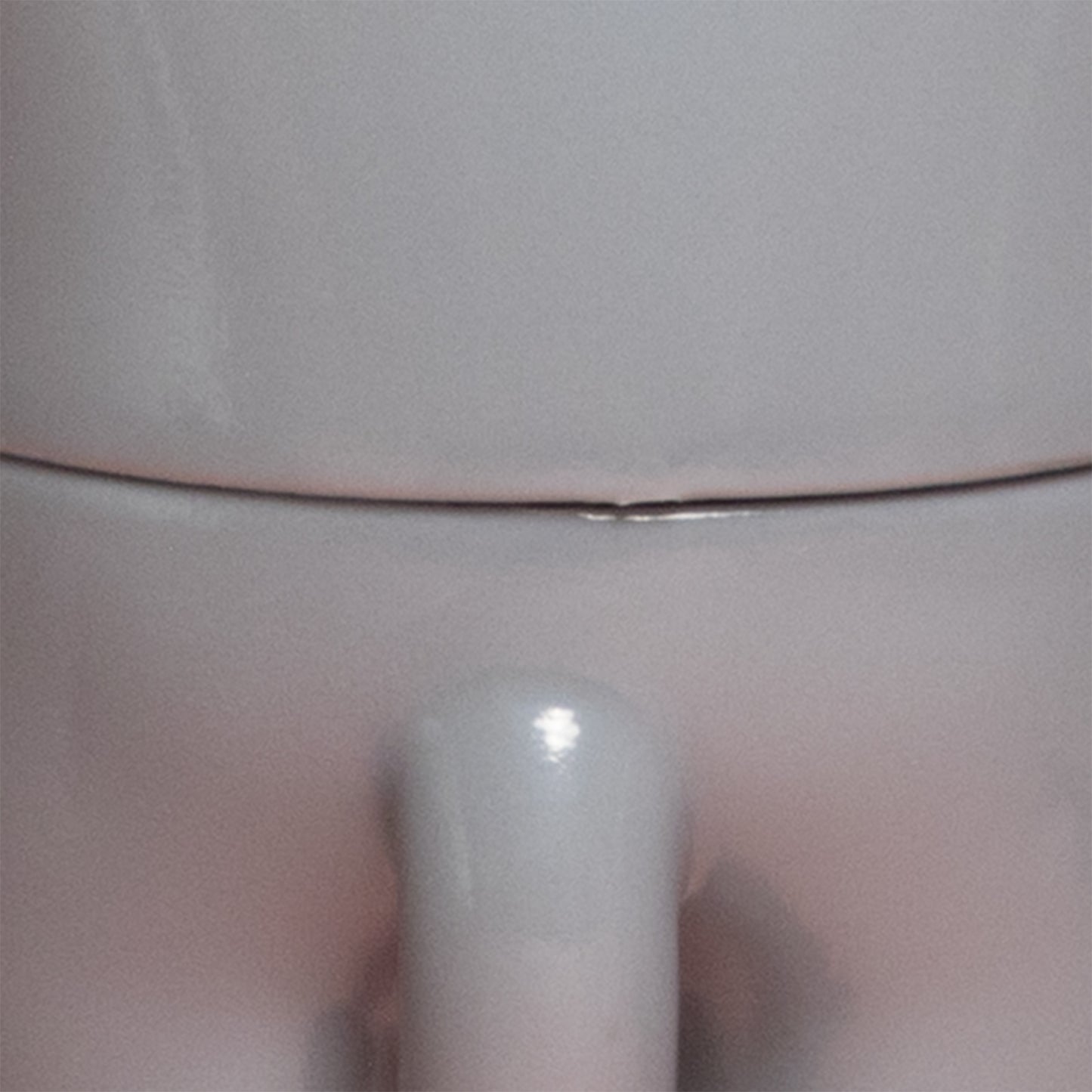 ニャンコとアノマロのお人形