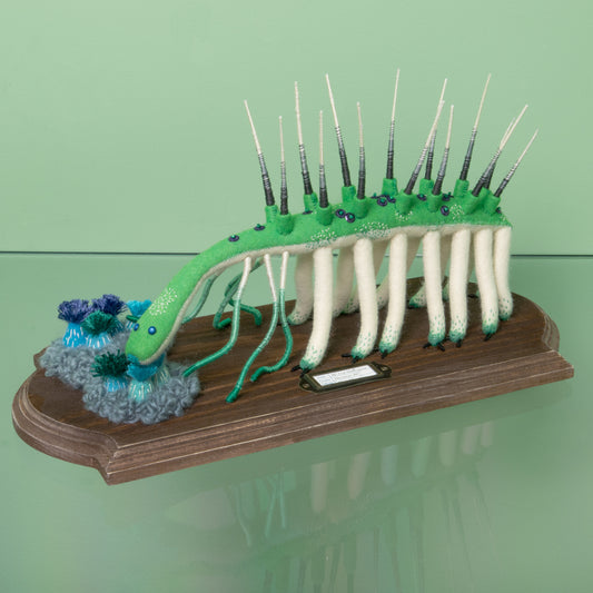 水島ひね作品59　Lost Hallucigenia