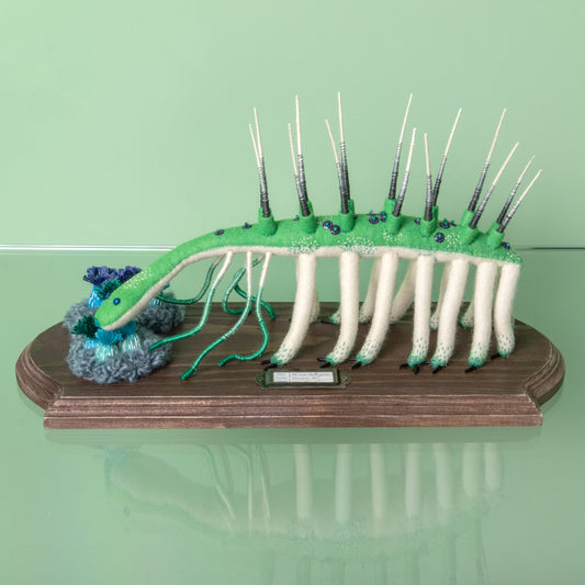 水島ひね作品59　Lost Hallucigenia
