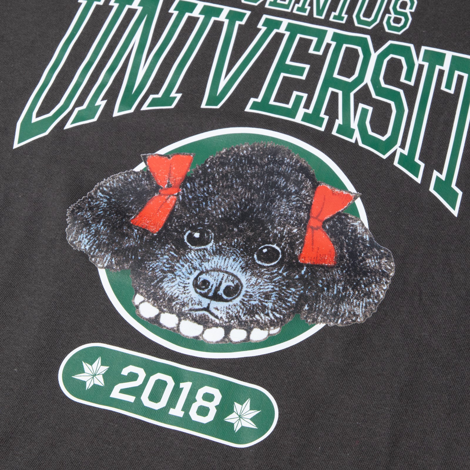 大学指定Tシャツ ウリ – ボリス雑貨店