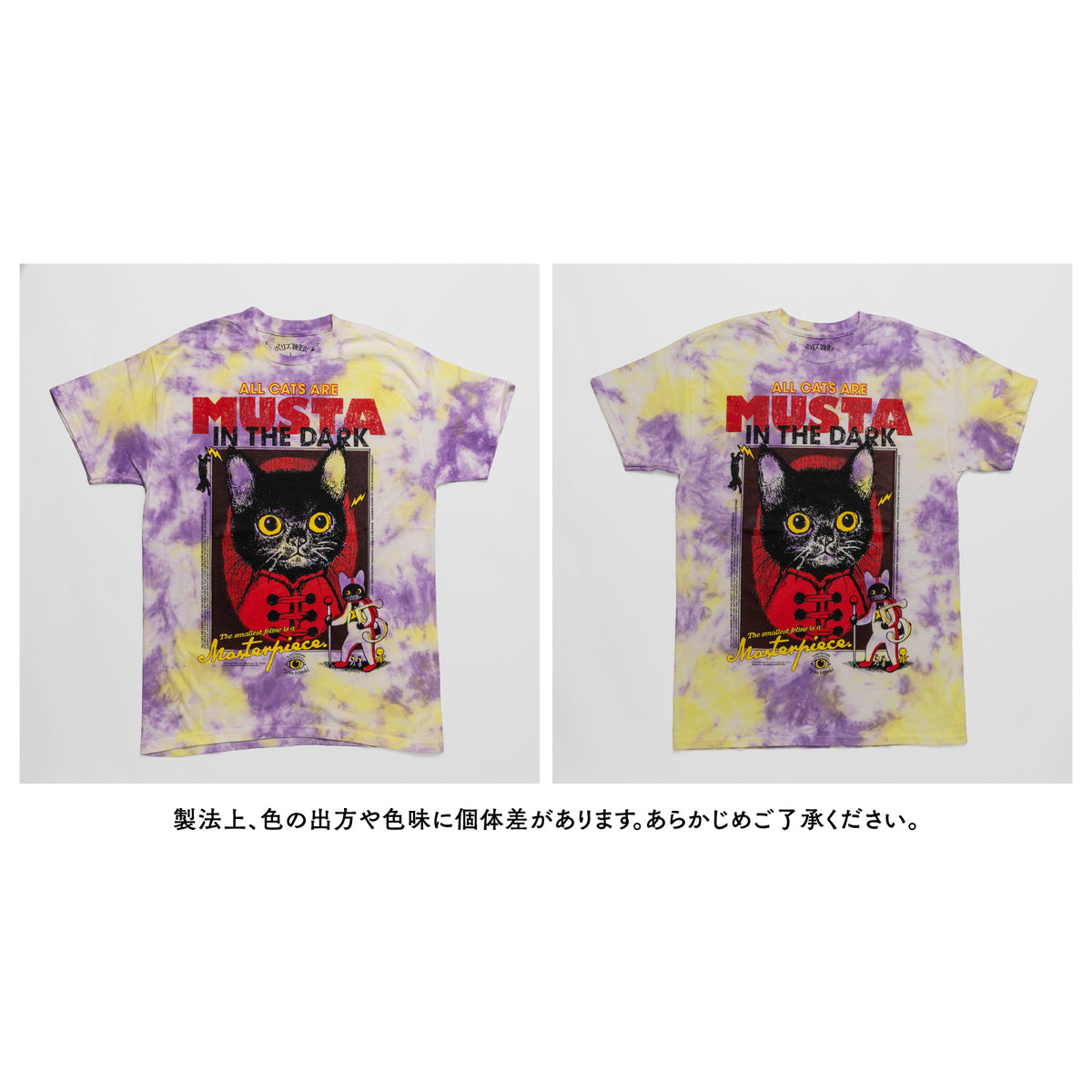 Tシャツ ちいさな画集 5（TD）