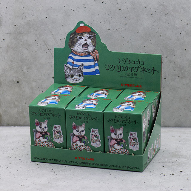 Yuko Higuchi Acrylic magnet BOX (6 pieces)