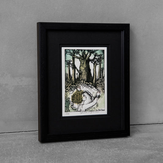 [Framed] Reproduction Le Petie Prince