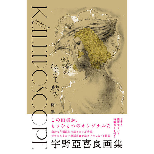 [With bonus card and flyer] Akira Uno Art Book Kaleidoscope