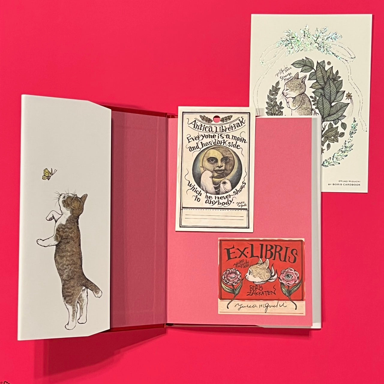 [Signed book with new issue pre-order bonus] Boris card book (bookplate: red)